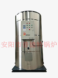 燃气开水锅炉&nbsp;&nbsp;燃气锅炉