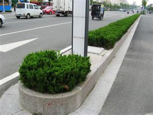 五莲花路沿石_五莲花路沿石图片(图)_建&nbsp;&nbsp;五莲花路沿石批发&nbsp;&nbsp;五莲花路沿石价格