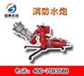 【品质为天】供应移动式消防炮