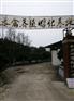 开县鸭苗厂家电话；重庆开县番鸭苗批发；求购本地鸭苗
