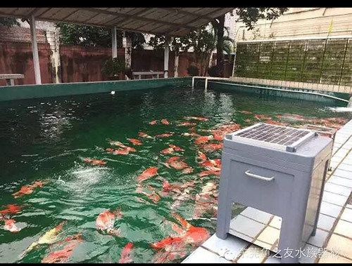 江西自动喂食器批发&nbsp;&nbsp;太阳能自动喂食器批发&nbsp;&nbsp;鱼池喂食器批发