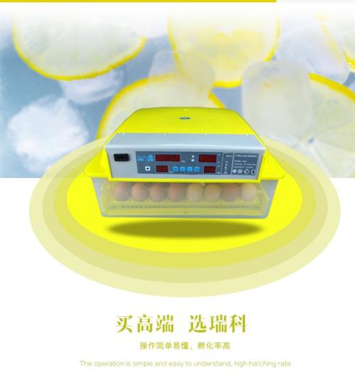 全自动孵化机、孵化机、梦科机械5(图)&nbsp;&nbsp;家用孵化机&nbsp;&nbsp;鸡鸭鹅孵化机