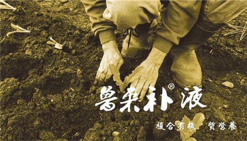 苏菲格耳国际贸易,魯來補液鈣,魯來補液鈣&nbsp;&nbsp;台湾翔云魯來補液&nbsp;&nbsp;进口肥料魯來補液&nbsp;&nbsp;魯來補液鈣肥料