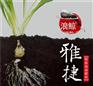进口肥料雅捷_雅捷_苏菲格耳国际贸易(图