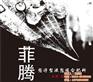 台湾翔云菲腾,菲腾,苏菲格耳国际贸易(查