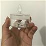 杭州斯晨高型扁型玻璃称量皿 称量瓶称瓶