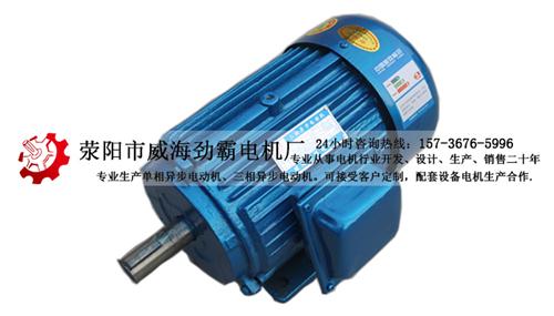 中国电机厂家|电机厂家|劲霸电机(查看)  中小型电机厂家  郑州电机厂家