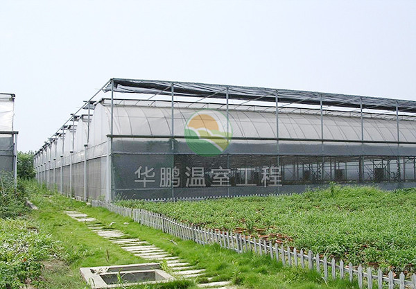 连栋薄膜温室建设厂家