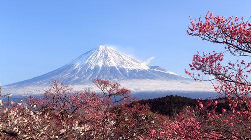 悠游假期旅行社,扬州旅行社,旅行社报价 旅行社排名 知名旅行社