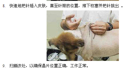 鱼用电子芯片，宠物电子标签。玻璃管电子芯片  宠物芯片  内置玻璃管电子标签  内置注射标签