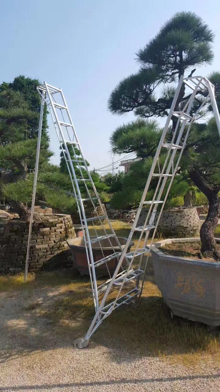 3米园艺三脚梯，水果梯，绿化梯，园林三角梯