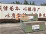 临沂石膏板生产、石膏板、鲁巧匠(查看)