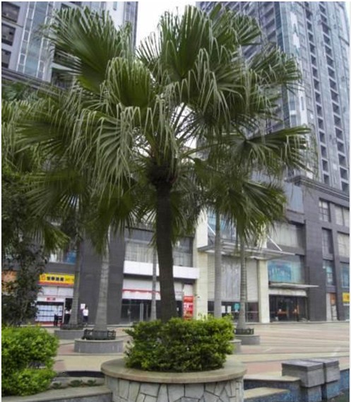 深圳市宸兴业科技公司