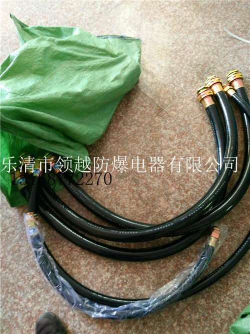 25*1000防爆橡胶软管  防爆软管  BNG防爆橡胶软管