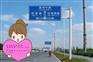 交通安全指示