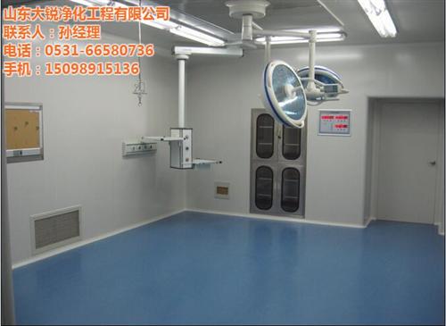净化|大锐净化|手术室净化系统&nbsp;&nbsp;手术室净化装修&nbsp;&nbsp;层流手术室净化