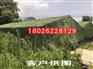 绿化伪装网