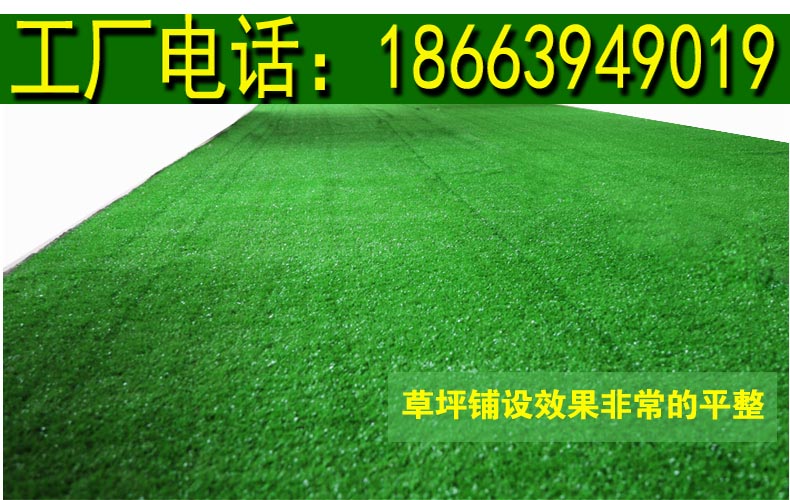 定西市陇西县草坪塑料~供应