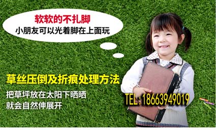 定西市陇西县草坪塑料~供应