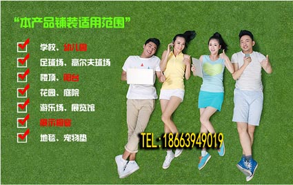 定西市陇西县草坪塑料~供应