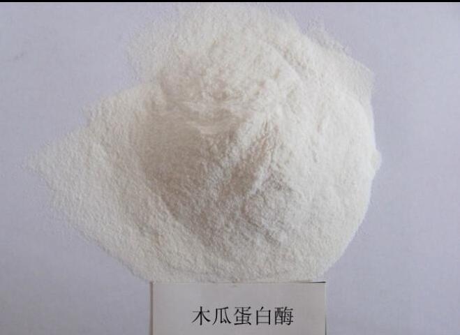 木瓜蛋白酶 木瓜蛋白酶价格  木瓜蛋白酶厂家  木瓜蛋白酶作用