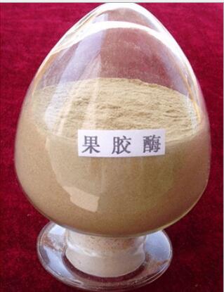 果胶酶 果胶酶价格  果胶酶生产厂家  果胶酶含量