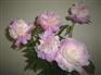芍药苷Paeoniflorin