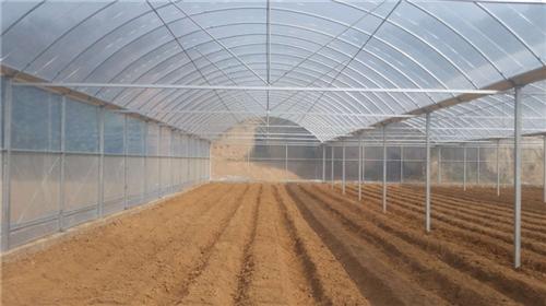 许昌连栋薄膜温室、【欣荣温室工程】、连栋&nbsp;&nbsp;连栋薄膜温室厂家&nbsp;&nbsp;连栋薄膜温室建造&nbsp;&nbsp;连栋薄膜温室规格