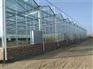 三门峡玻璃智能温室|【欣荣温室工程】|玻