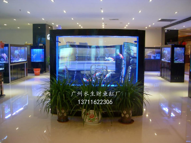 广州黄埔上门鱼缸护理公司，广州上门鱼缸清洁公司&nbsp;&nbsp;黄埔开发区西鱼缸清洗&nbsp;&nbsp;黄埔开发区东鱼缸清洗&nbsp;&nbsp;黄埔庙头鱼缸清洗公司