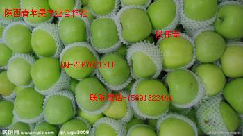 陕西优质毛桃行情毛桃销售毛桃批发价格  西瓜  苹果