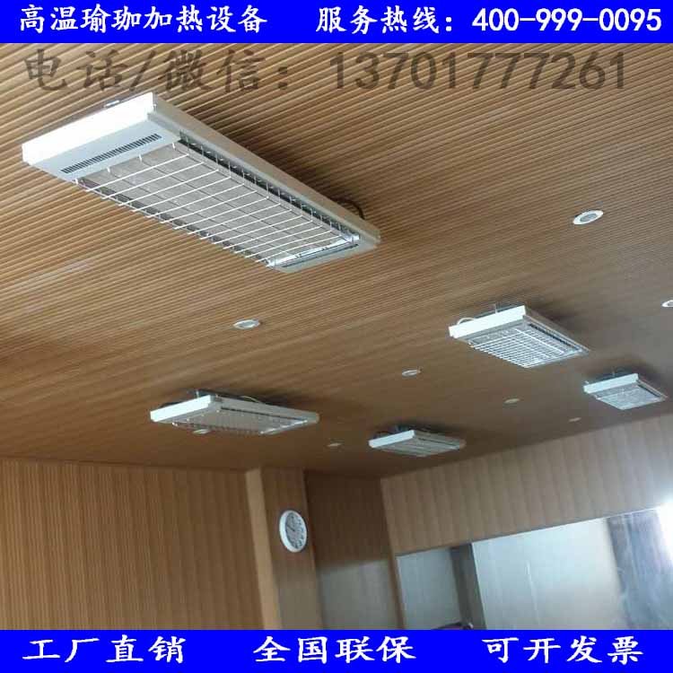 内蒙古自治区 瑜伽馆专用高温辐射式电热器SRJF-X-10  辐射采暖器  电热幕  电热板