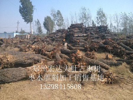 宏达根艺雕刻中心专注古枣树批发|哪里可以 古枣树价格