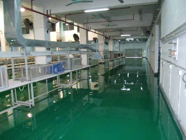 塘厦电子厂地板漆 食品厂地板漆 塘厦地板漆材料