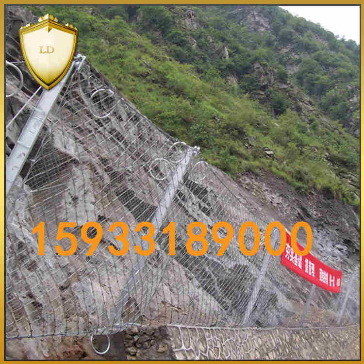 高品质RX-025被动防护网 山体防护网  悬崖防护网
