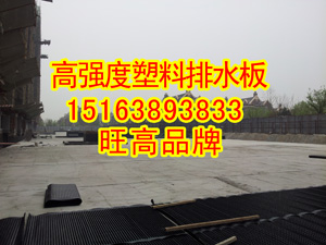 早安新闻{哈尔滨种植3公分疏水板}公司/厂家批发