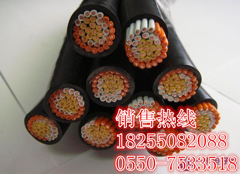 国标供应DJYVP、DJYPV、DJYPVP计算机电缆图片