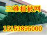 吉林三维植被网厂家