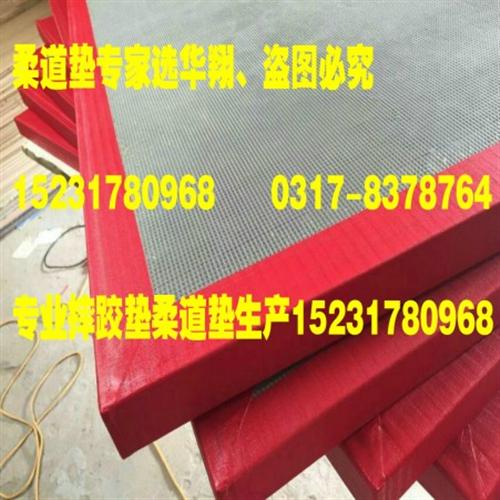 海绵外套一体柔道垫生产厂家|柔道垫|河北  符合比赛标准要求  俱乐部专用柔道垫
