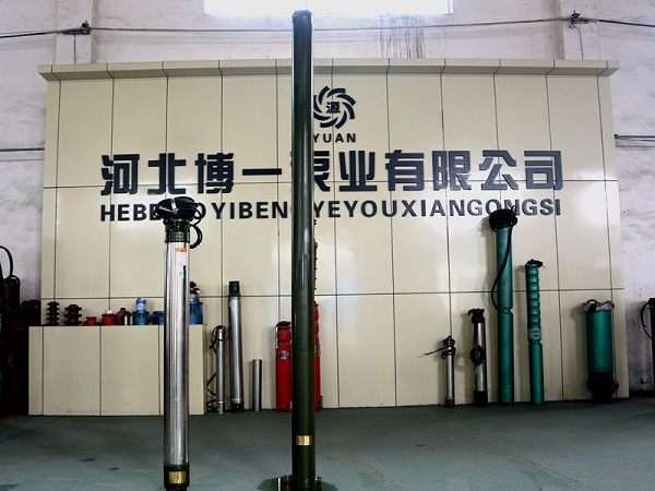 邢台好用的不锈钢潜水泵_厂家直销——不锈&nbsp;&nbsp;不锈钢潜水泵型号&nbsp;&nbsp;不锈钢潜水泵规格