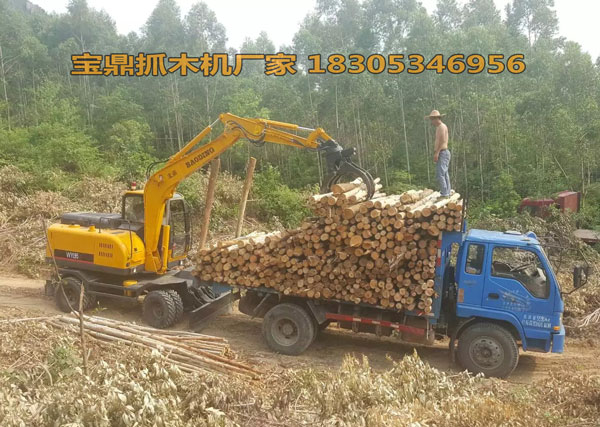 广西抓木机哪个牌子好&nbsp;&nbsp;广西抓木机牌子