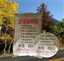 水泥路面快速修补料厂家 上哪买划算的水泥