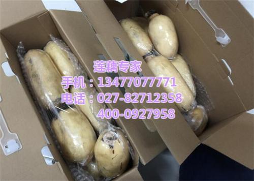 包装莲藕、武汉藕御农业发展有限公司、包装&nbsp;&nbsp;包装莲藕供应&nbsp;&nbsp;包装莲藕采购&nbsp;&nbsp;包装莲藕价格