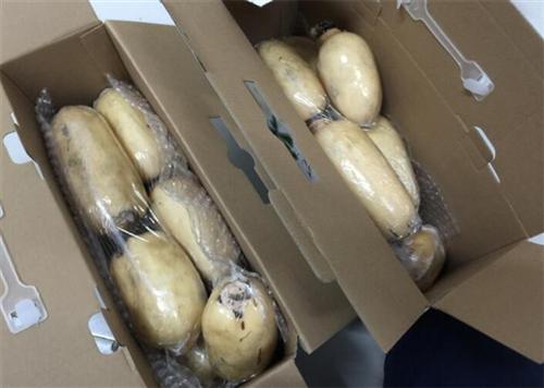 包装莲藕订购,宜城市包装莲藕,湖北藕种苗&nbsp;&nbsp;包装莲藕采购&nbsp;&nbsp;包装莲藕价格