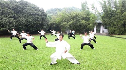 陈氏太极拳74式老架一路,武汉 陈超太极  陈氏太极拳83式  陈氏太极拳精要1