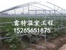 定制普通蔬菜大棚基地 钢结构蔬菜温室建设 可定制加工