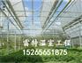 定制阳光温室大棚厂家 pvc阳光板温室造价 物美价廉