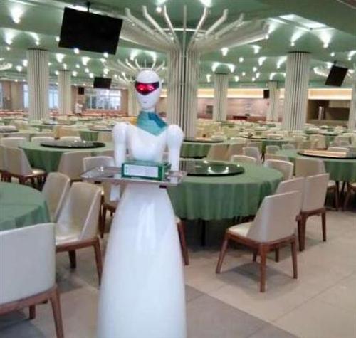 服务机器人_武汉服务机器人_表演服务机器  表演服务机器人  餐饮服务机器人  促销服务机器人