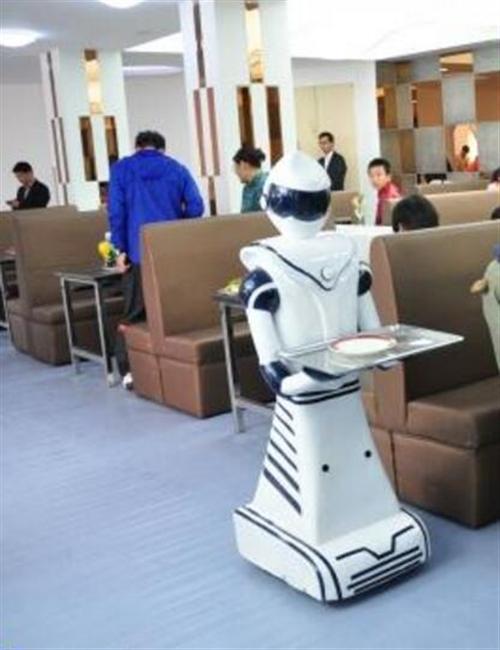 迎宾服务机器人,服务机器人,武汉服务机器  餐饮服务机器人  表演服务机器人