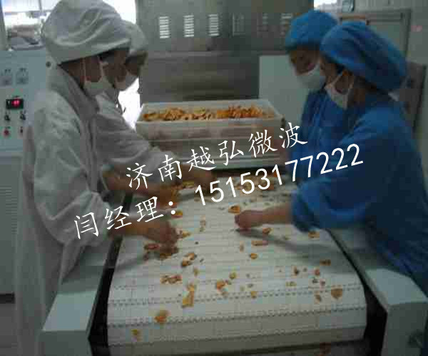 量身定做的海鱼烘干机&nbsp;&nbsp;微波干燥杀菌机&nbsp;&nbsp;微波干燥设备&nbsp;&nbsp;微波干燥设备厂家